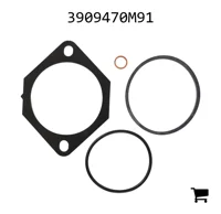 AGCO 3909470M91 Комплект уплотнений