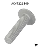 AGCO ACW9226840 Винт с цилиндрической головкой