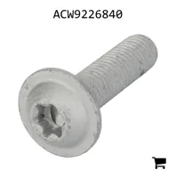 AGCO ACW9226840 Винт с цилиндрической головкой