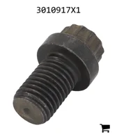 AGCO 3010917X1 Винт с 12-гранной головкой с фланцем