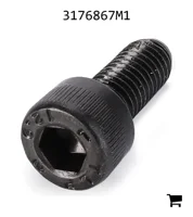 AGCO 3176867M1 Болт