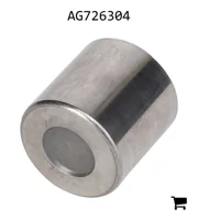 AGCO AG726304 Ролик кулачка