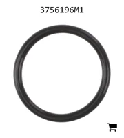 AGCO 3756196M1 Уплотнительное кольцо