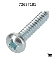 AGCO 72637181 Винт