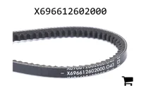 AGCO X696612602000 Ремень клиновой