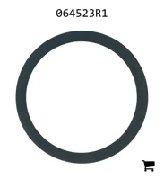 AGCO 064523R1 Шайба