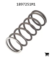 AGCO 1897251M1 Пружина