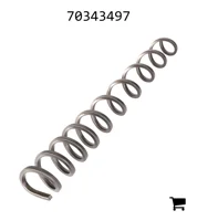 AGCO 70343497 Пружина
