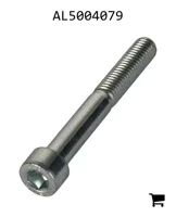 AGCO AL5004079 Винт