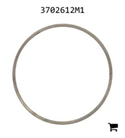 AGCO 3702612M1 Шайба