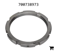 AGCO 700738973 Опорная гайка