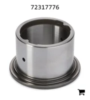AGCO 72317776 Игольчатый подшипник, внутреннее кольцо