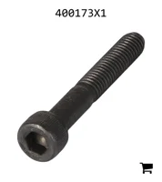 AGCO 400173X1 Болт с цилиндрической головкой