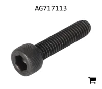 AGCO AG717113 Винт