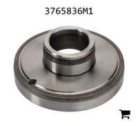 AGCO 3765836M1 Поршень