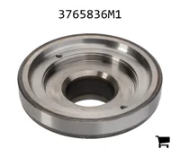 AGCO 3765836M1 Поршень