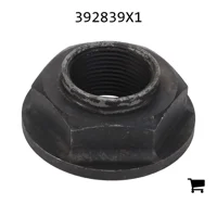 AGCO 392839X1 Гайка