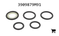 AGCO 3909879M91 Комплект уплотнений