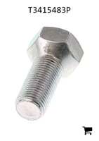 AGCO T3415483P Болт