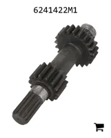AGCO 6241422M1 Шестерня