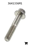 AGCO 3641336M1 Винт