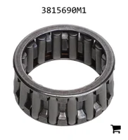 AGCO 3815690M1 Игольчатый роликовый подшипник