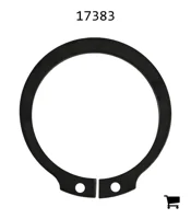 AGCO 17383 Кольцо