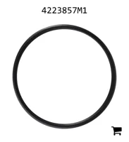AGCO 4223857M1 Уплотнительное кольцо