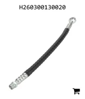 AGCO H260300130020 Шланг высокого давления