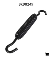 AGCO BKD8249 Пружина