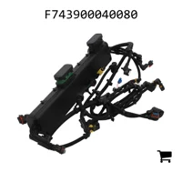 AGCO F743900040080 Комплект электропроводки