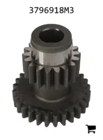 AGCO 3796918M3 Шестерня