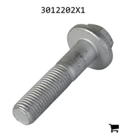 AGCO 3012202X1 Болт с шестигранной головкой и фланцем