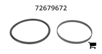 AGCO 72679672 Комплект уплотнений
