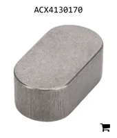 AGCO ACX4130170 Параллельный шпоночный паз