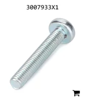 AGCO 3007933X1 Винт с цилиндрической головкой