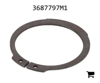 AGCO 3687797M1 Кольцо