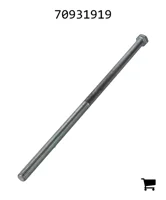 AGCO 70931919 Винт