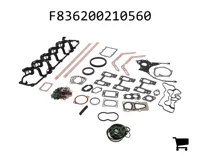 AGCO F836200210560 Ремкомплект