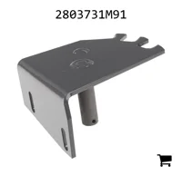 AGCO 2803731M91 Сегмент