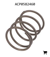AGCO ACP0582460 Пружина
