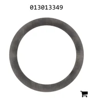 AGCO 013013349 Шайба