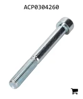 AGCO ACP0304260 Винт