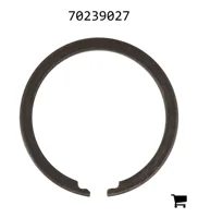 AGCO 70239027 Кольцо