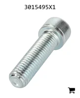 AGCO 3015495X1 Винт с цилиндрической головкой и шестигранным углублением