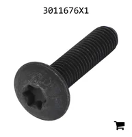 AGCO 3011676X1 Винт с полукруглой головкой