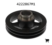 AGCO 4222867M1 Шкив коленчатого вала