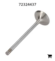 AGCO 72324437 Впускной клапан