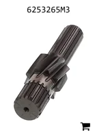 AGCO 6253265M3 Шестерня