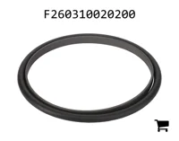 AGCO F260310020200 Уплотнительное кольцо